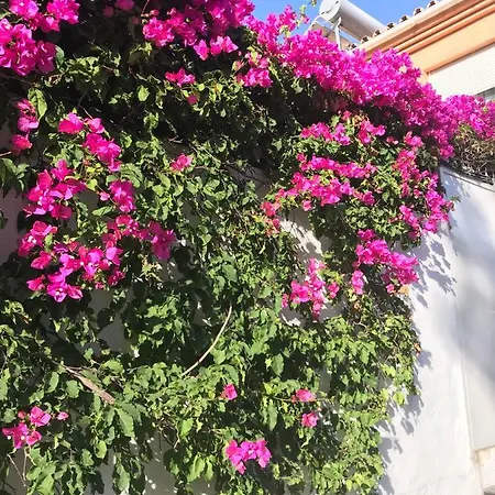 Feriehus Casa Milo Nerja